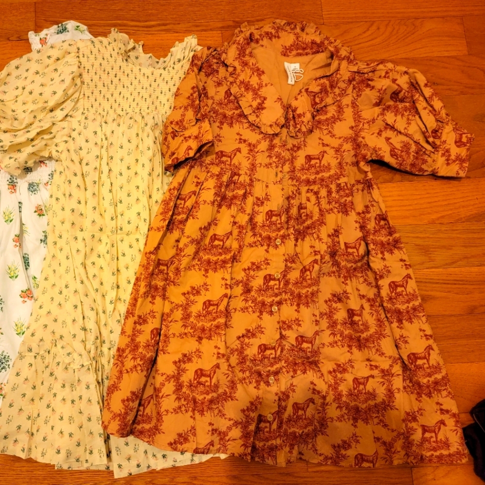 Janie and Jack size 14 new girls bundle